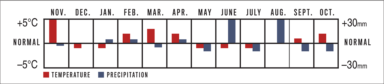 Temperature and Precipitation Graph