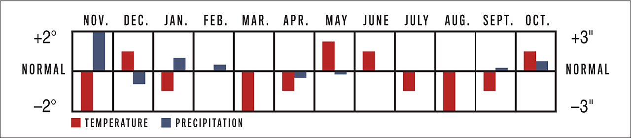 Temperature and Precipitation Graph