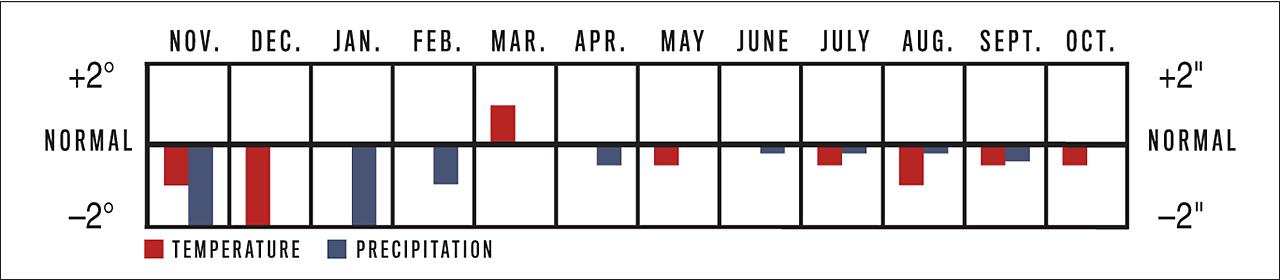 Temperature and Precipitation Graph