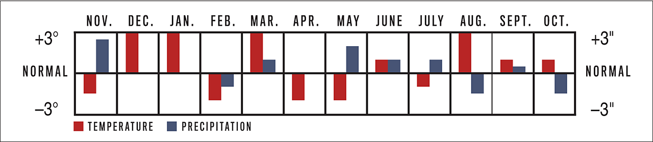 Temperature and Precipitation Graph