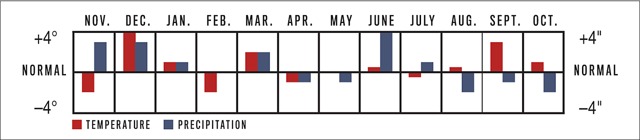 Temperature and Precipitation Graph