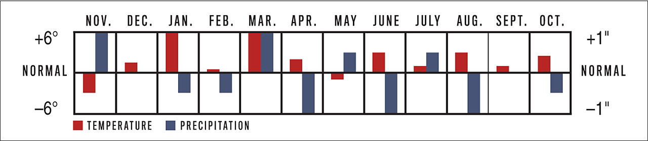 Temperature and Precipitation Graph