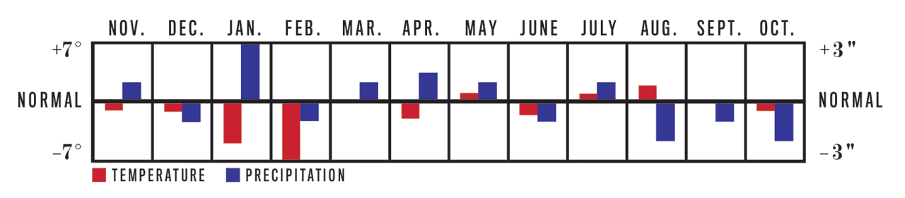 Temperature and Precipitation Chart, November 2022 to October 2023 for McLean, VA