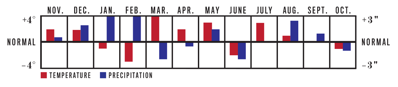 Temperature and Precipitation Chart, November 2023 to October 2024 for Arlington, VA